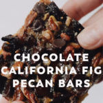 chocolate fig pecan bar