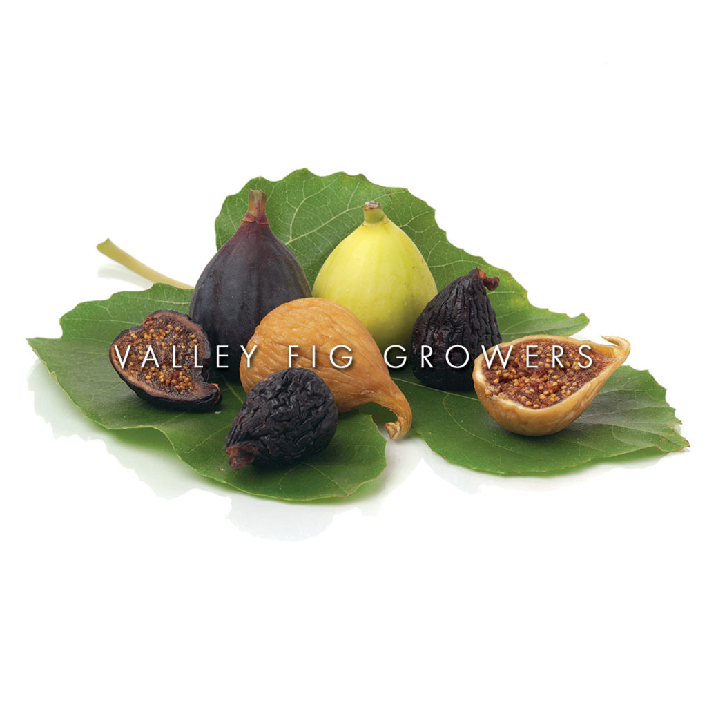 Fig Holiday Coffee Creamer - Valley Fig Growers