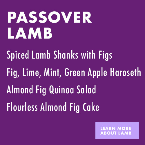 April Fig Focus on Passover
