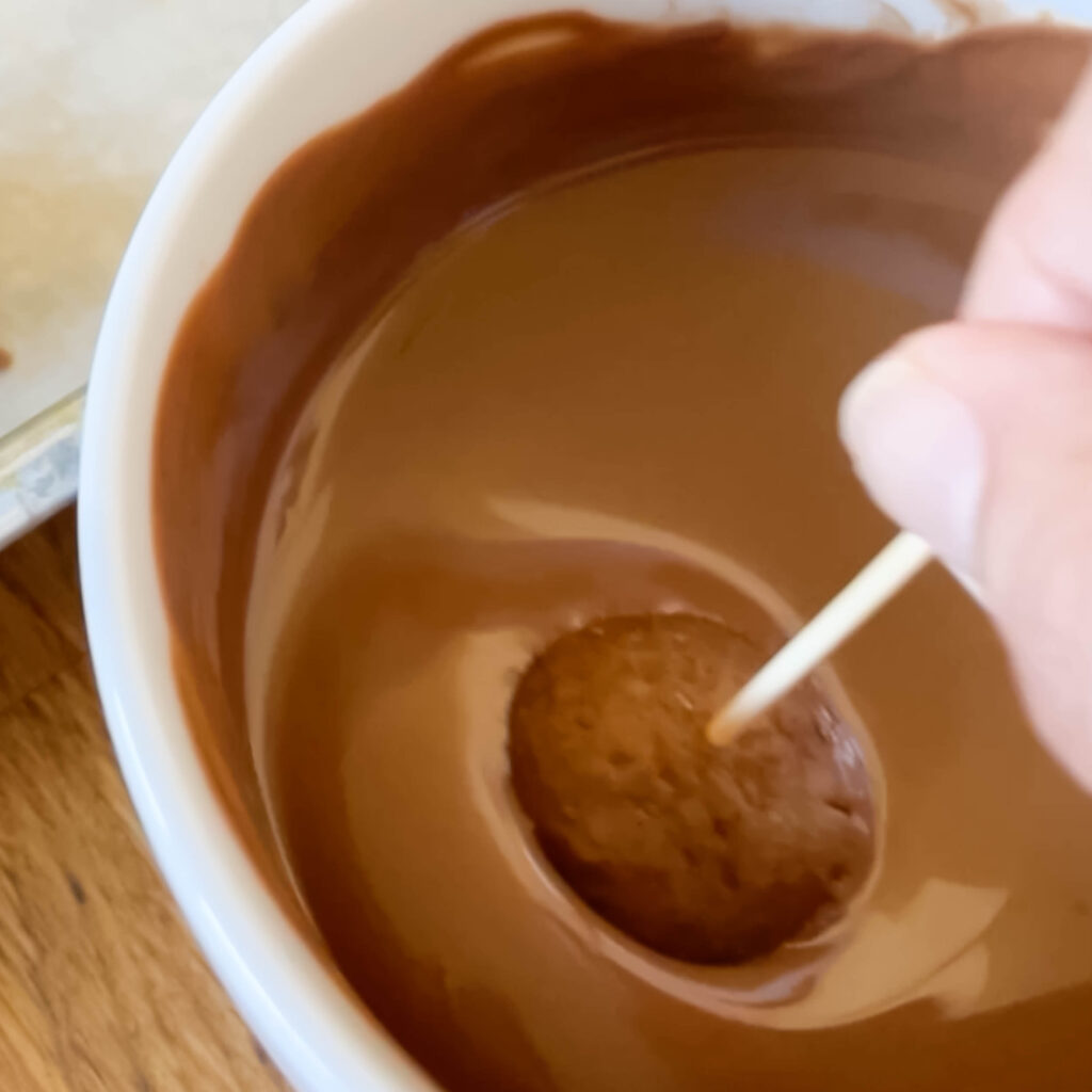 Dunking a buckeye into melted milk chocolate.