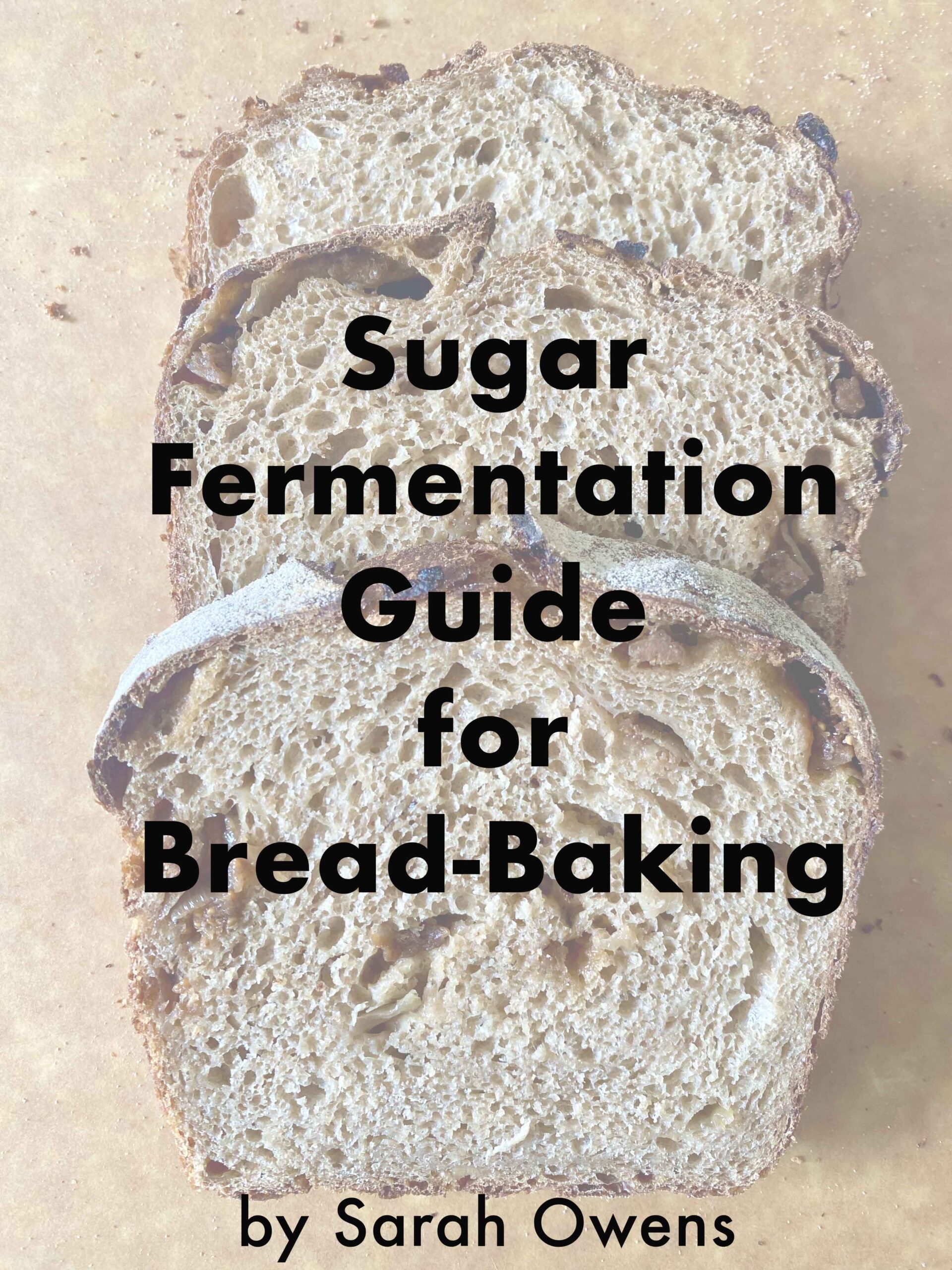 Sugar Fermentation Guide