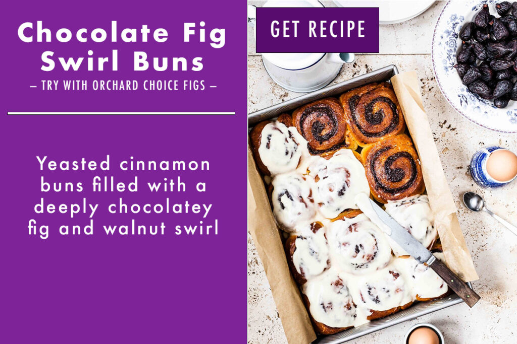 chocolate fig swirl buns photo and description graphic