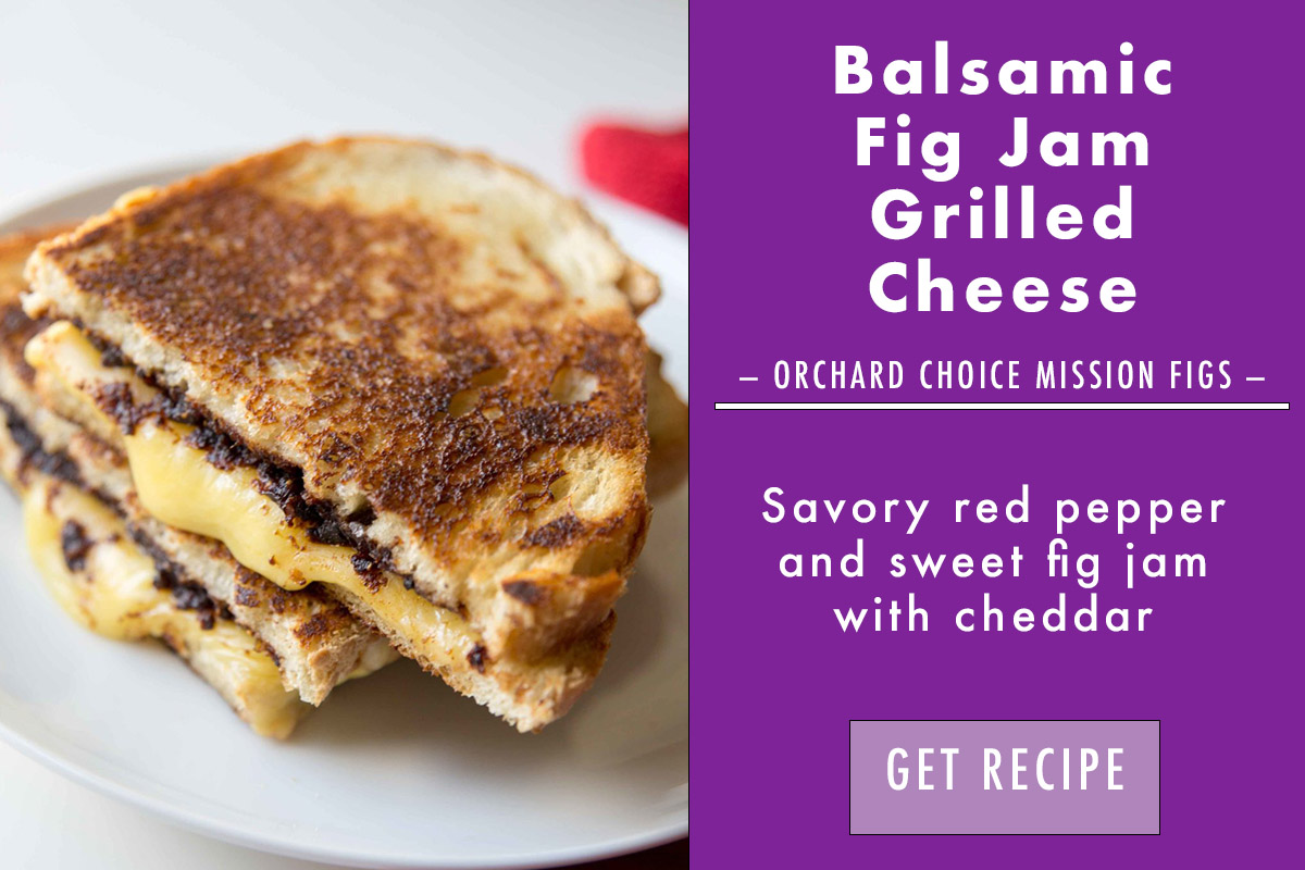 Balsamic fig jam grilled cheese on a white plate with a description
