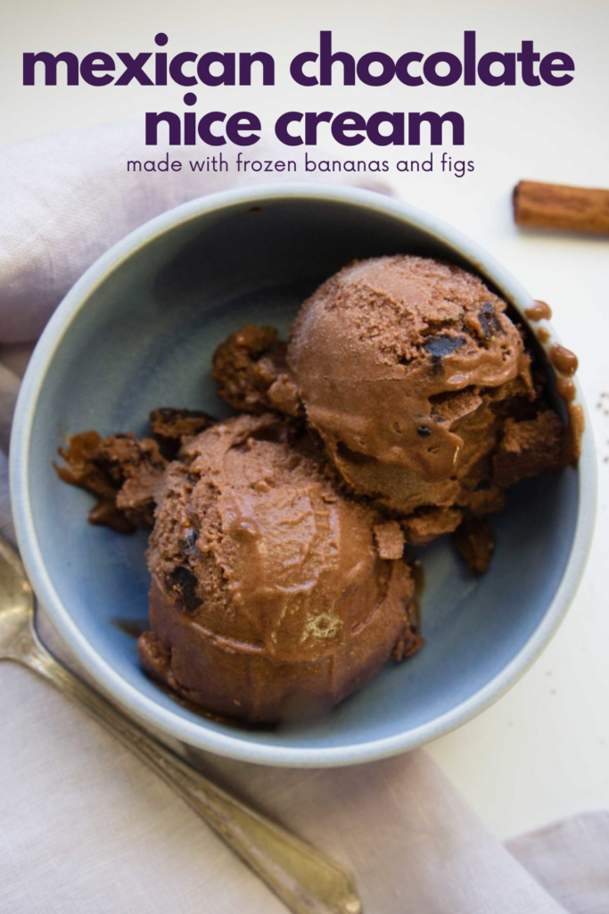 blue bowl of chocolate ice cream with figs